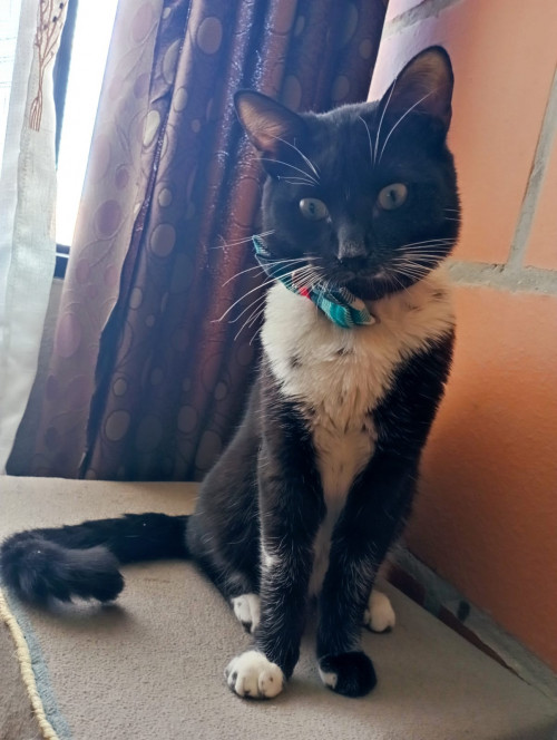 Max