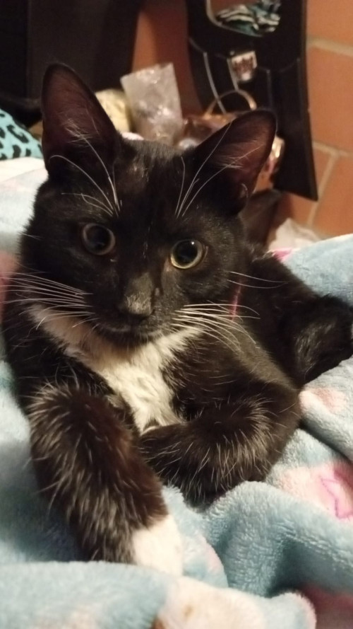Max