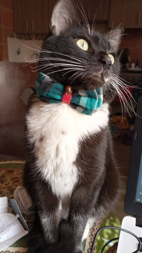 Max