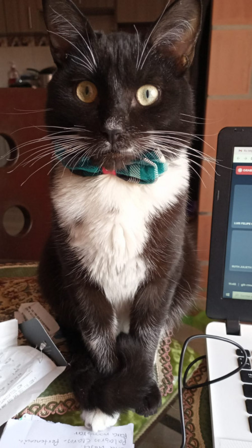 Max