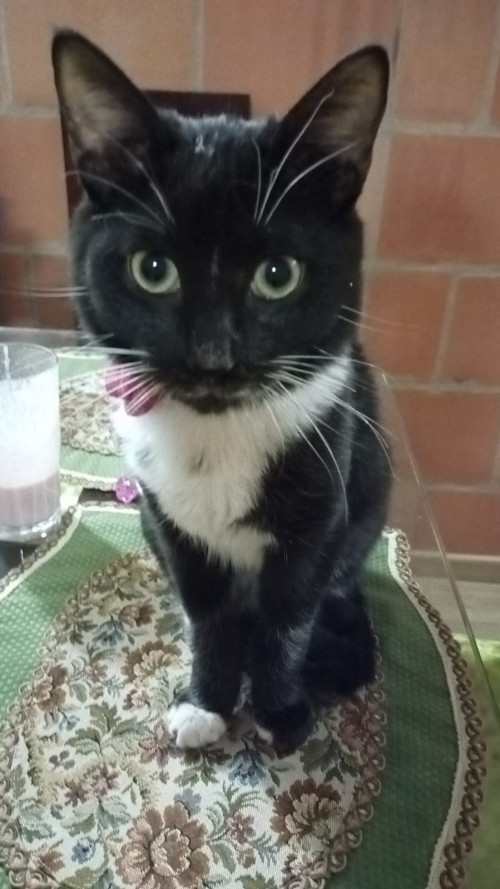 Max