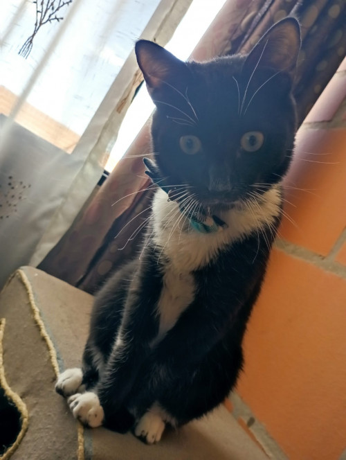 Max