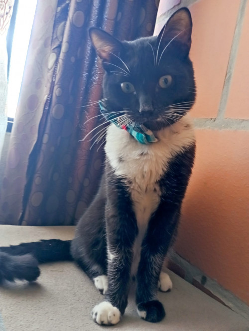 Max