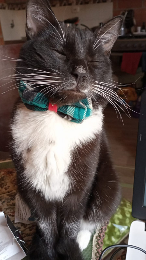 Max