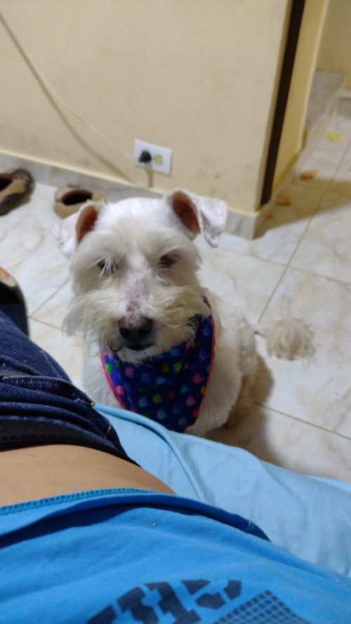 Tobby
