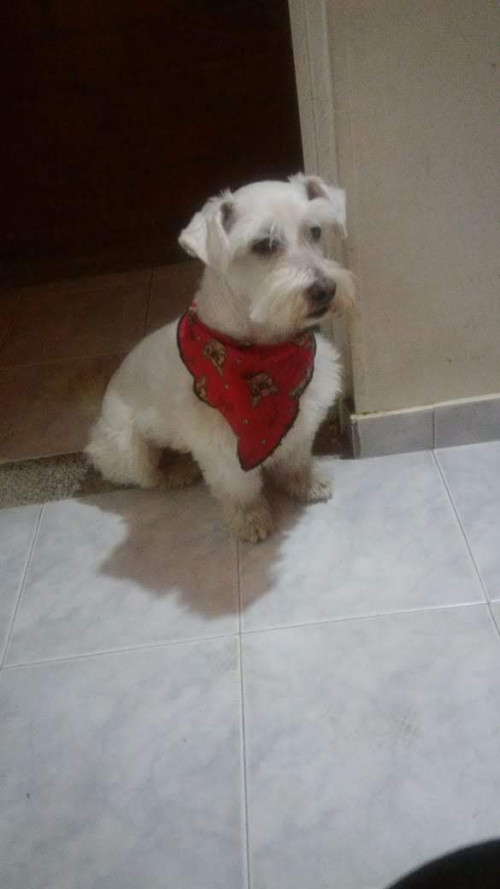 Tobby