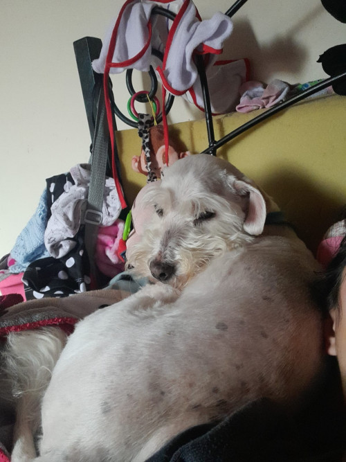 Tobby