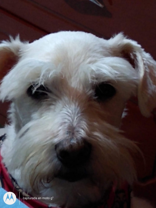 Tobby