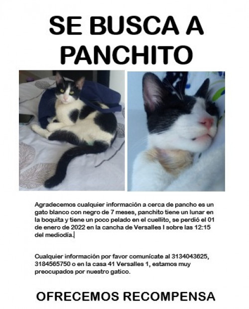 Panchito