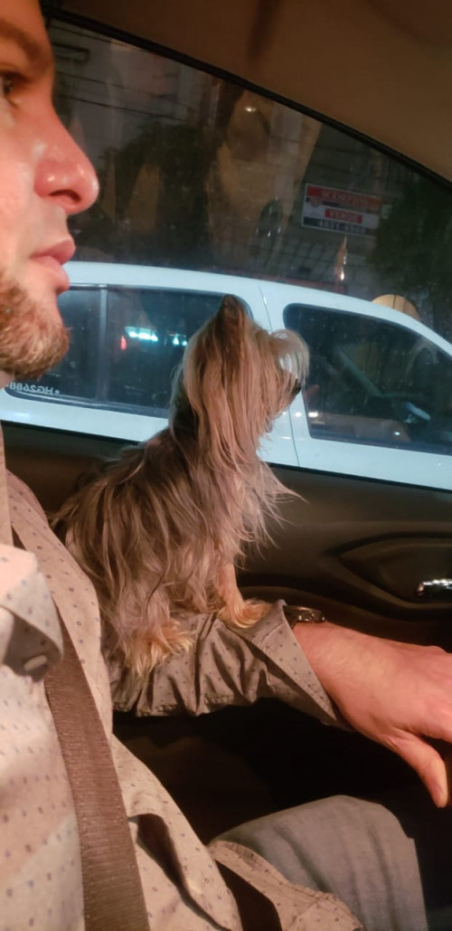 Lola 
