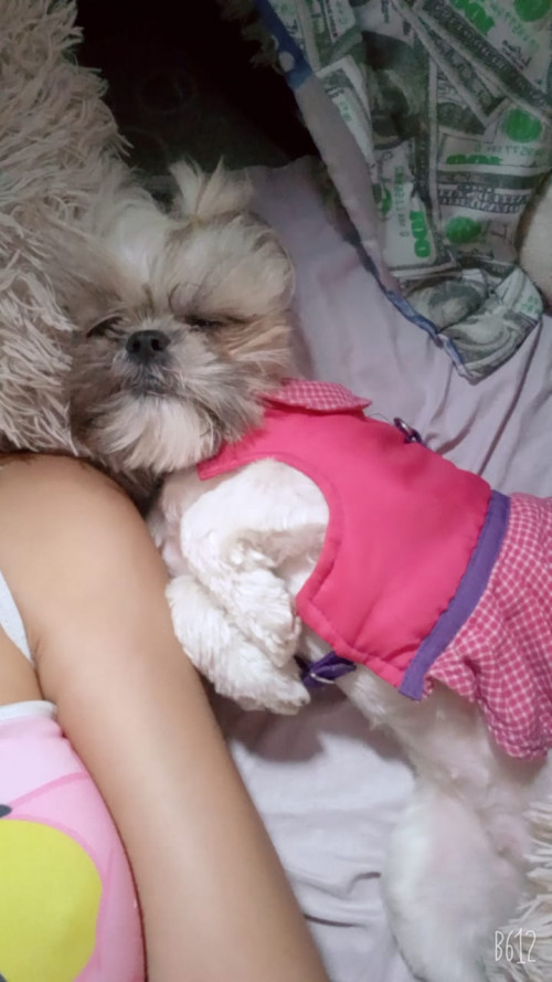 Mitzi
