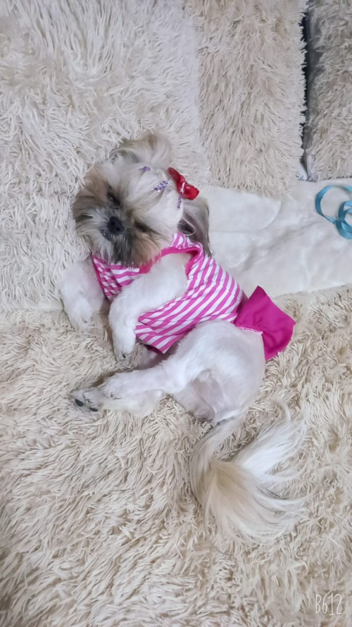 Mitzi