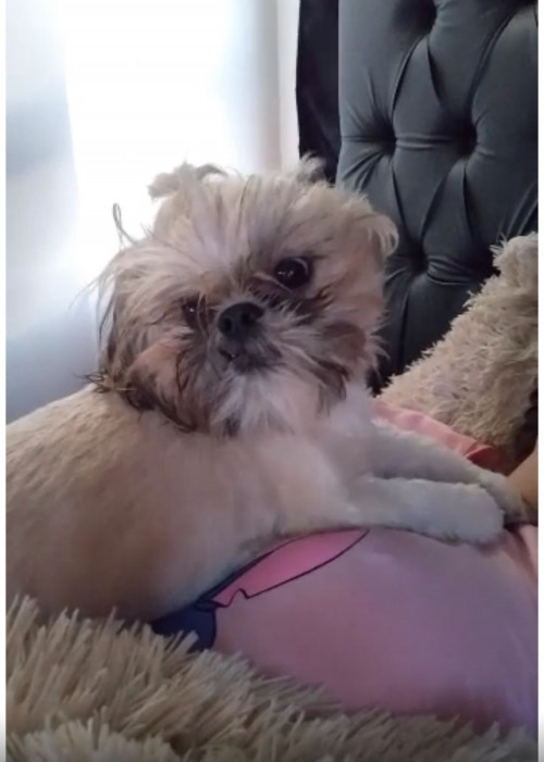 Mitzi