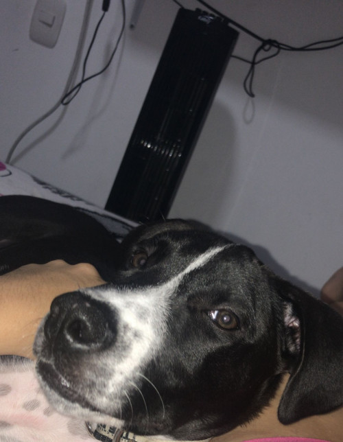 Roco