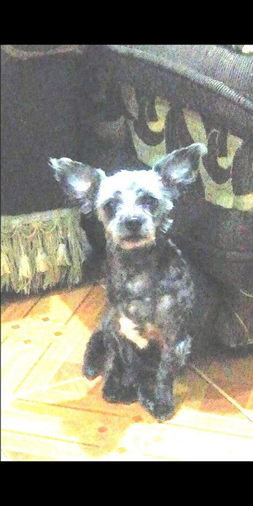Estrella