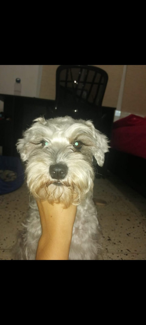 Maky