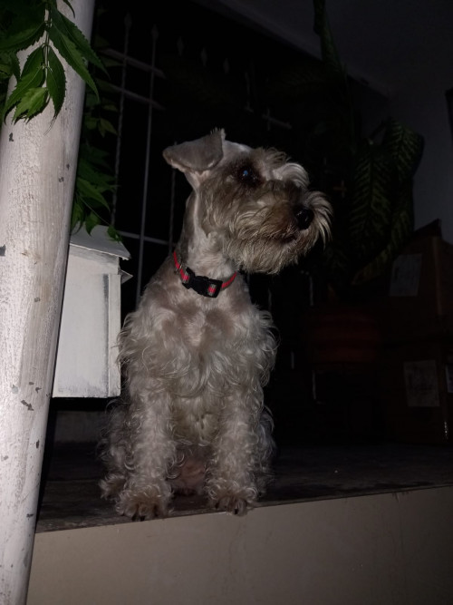 Maky