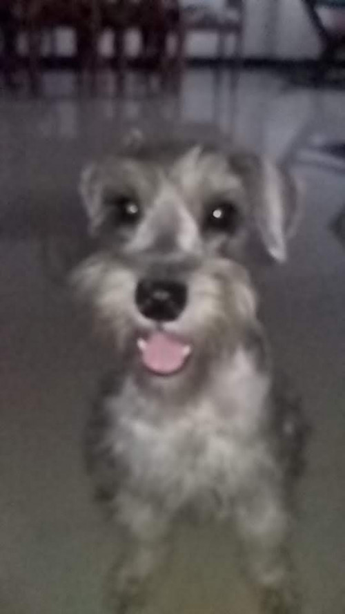 Maky
