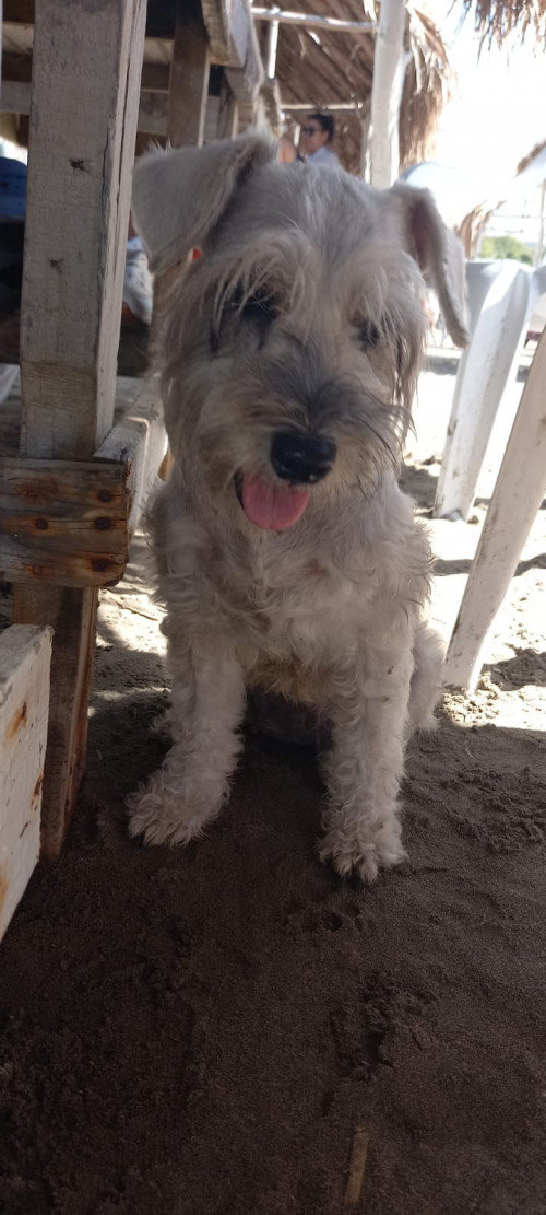 Maky