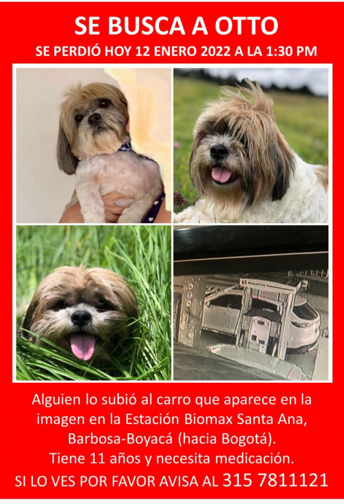 Otto