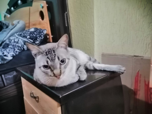 Chiky