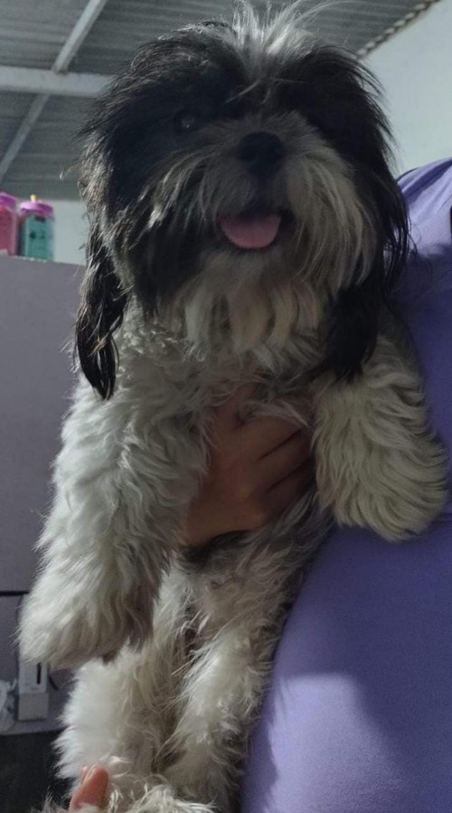 Dulce