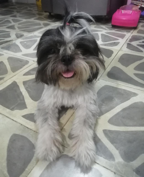 Dulce