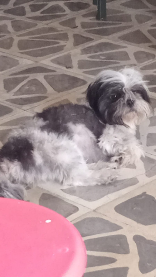 Dulce