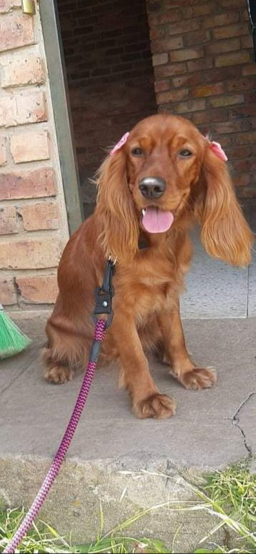 Kaia