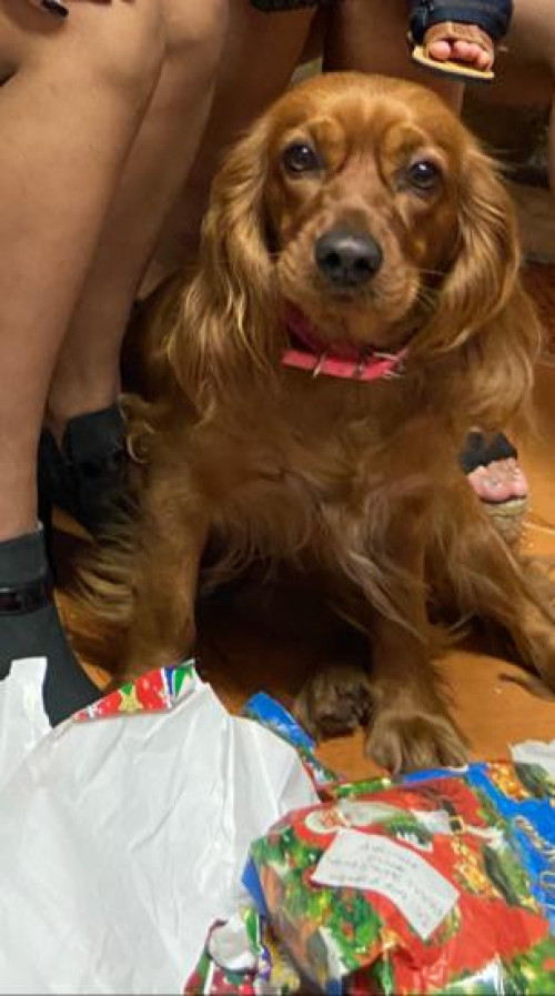 Kaia
