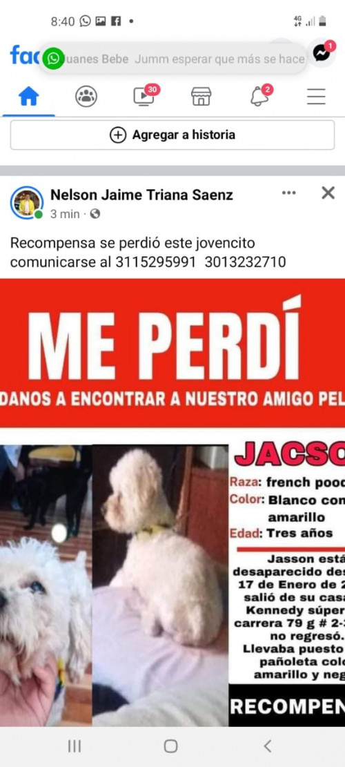 Jacson