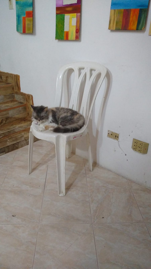 Katia
