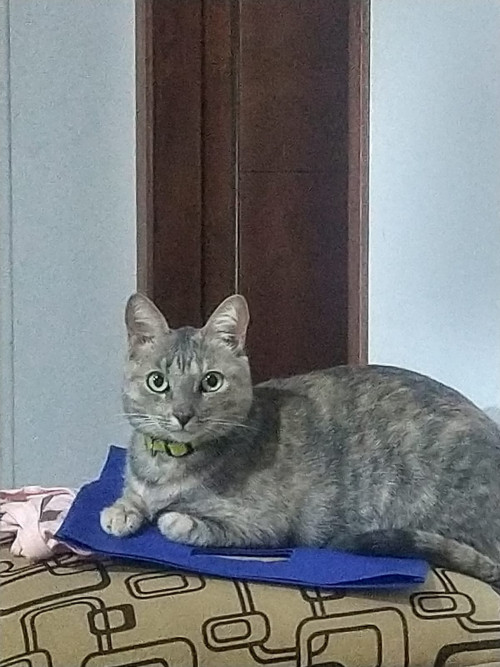 Venus