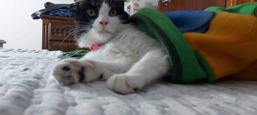 Luna