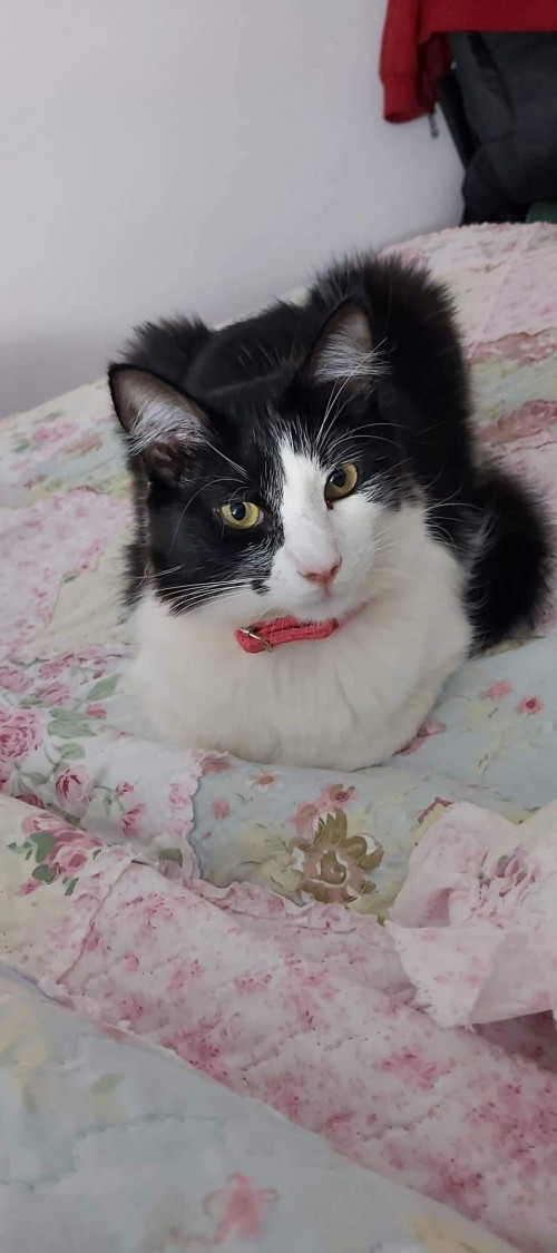 Luna