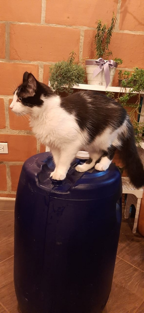 Luna