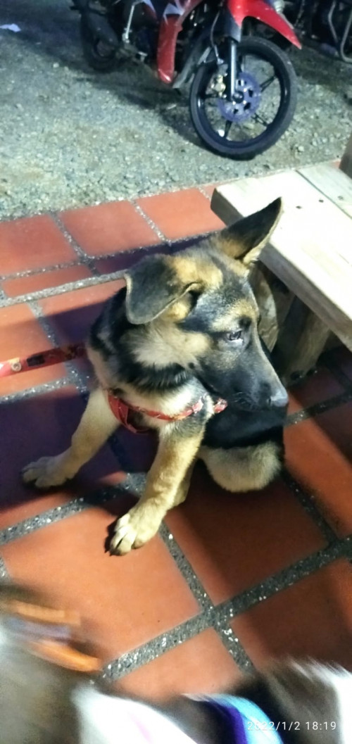 Max