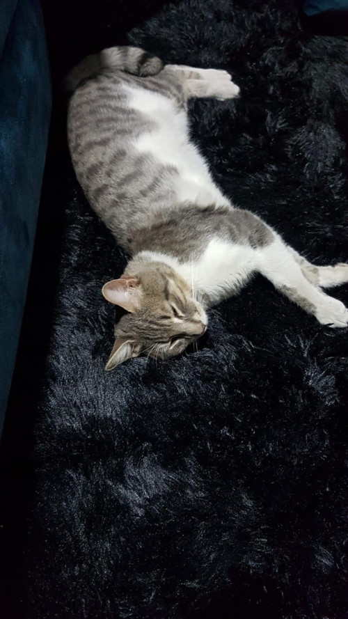 Gary