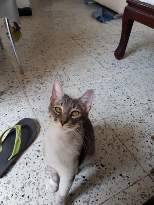 Gary