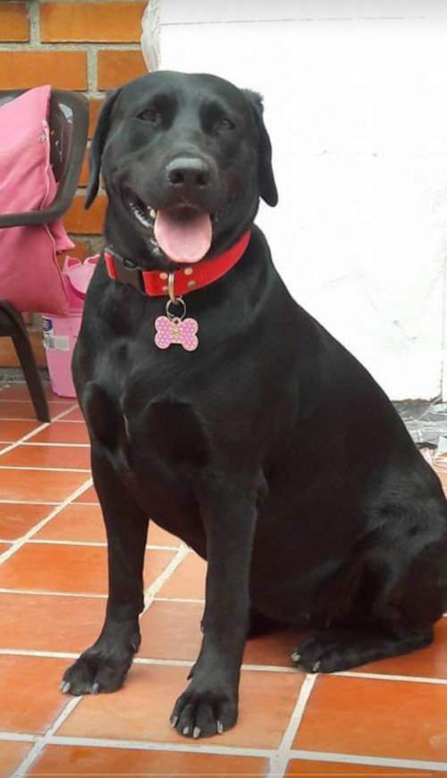 Sacha