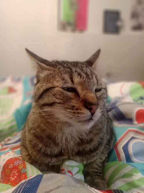 Max