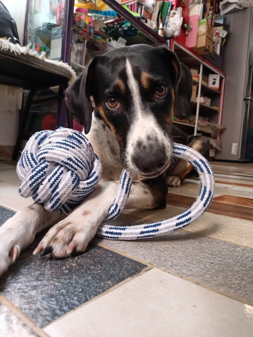 Max 