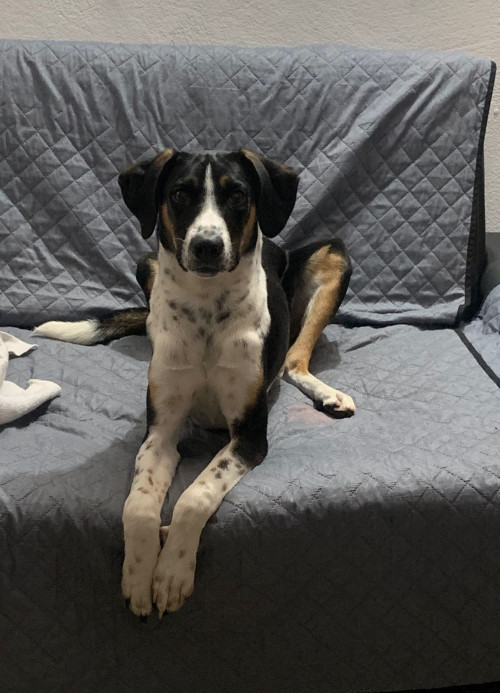 Max 