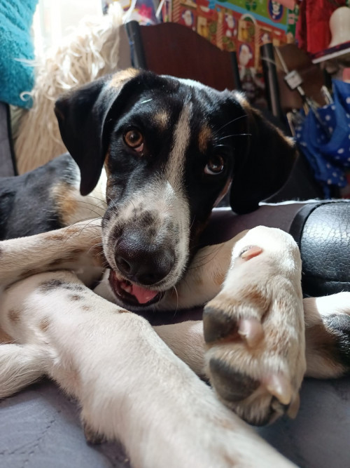 Max 