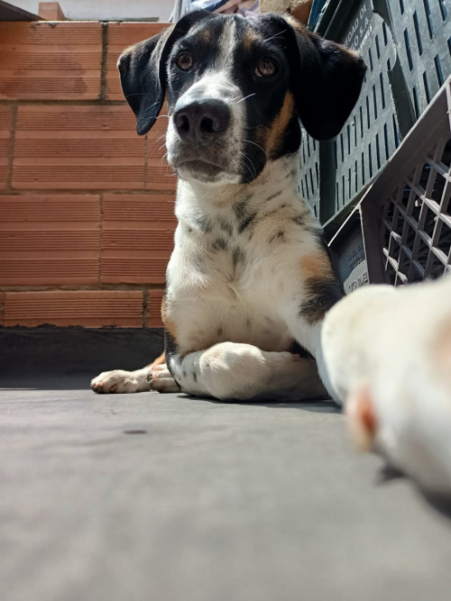 Max 