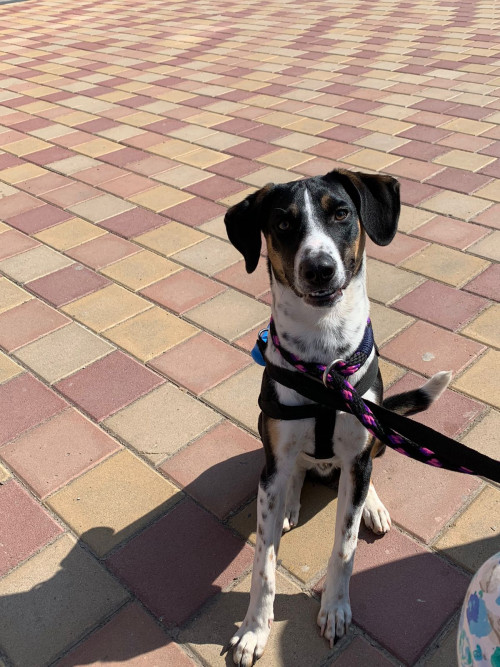 Max 