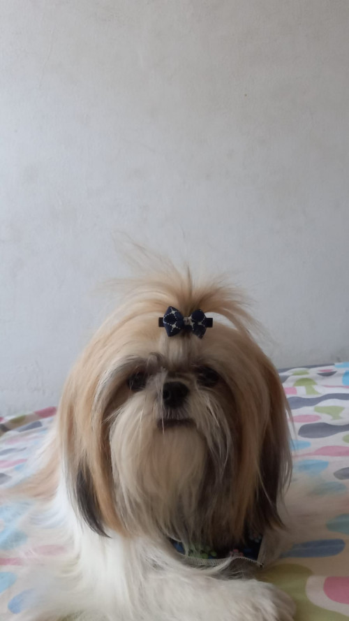 Dulce