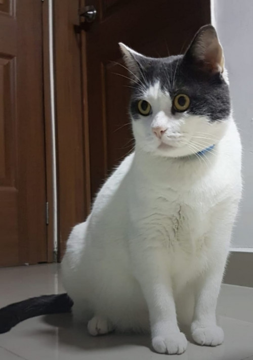 Martín