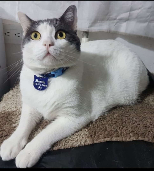 Martín