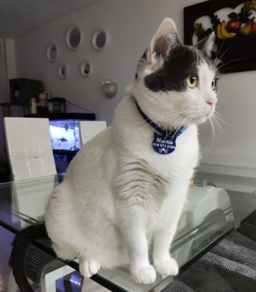 Martín
